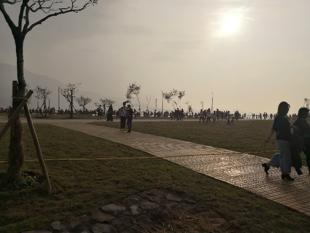 f:id:discimus:20190303015224j:image