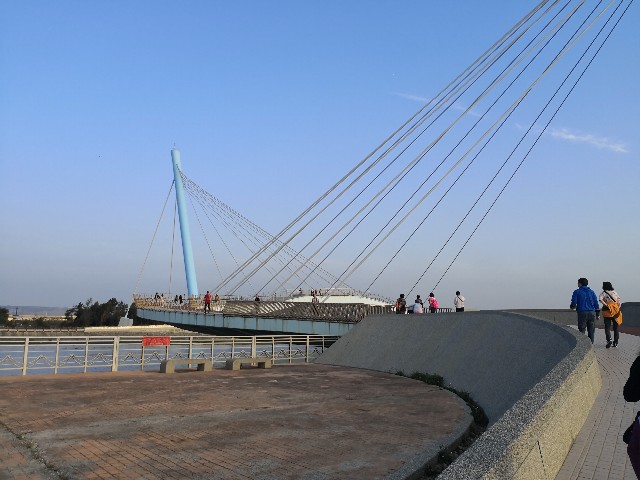 f:id:discimus:20190303015937j:image