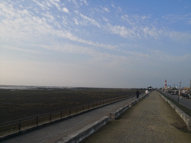 f:id:discimus:20190303020003j:image