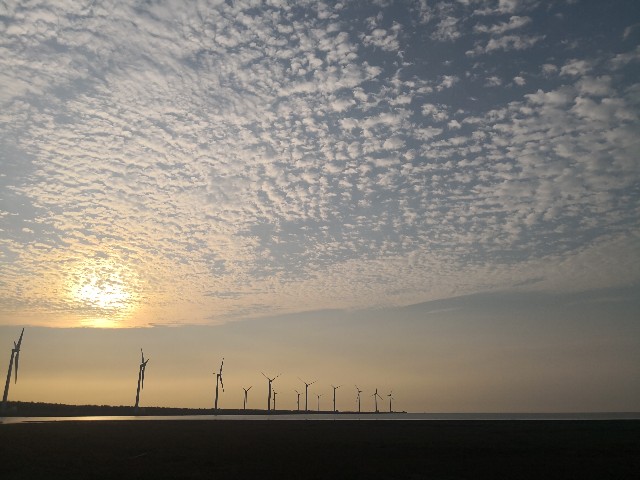 f:id:discimus:20190303020019j:image