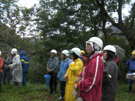 f:id:discour:20101009111112j:image