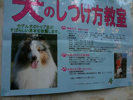 f:id:discoverwest:20091009160607j:image