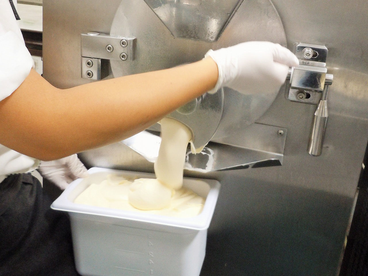 f:id:discyurion:20190819211550j:plain f:id:discyurion:20190819211550j:plain