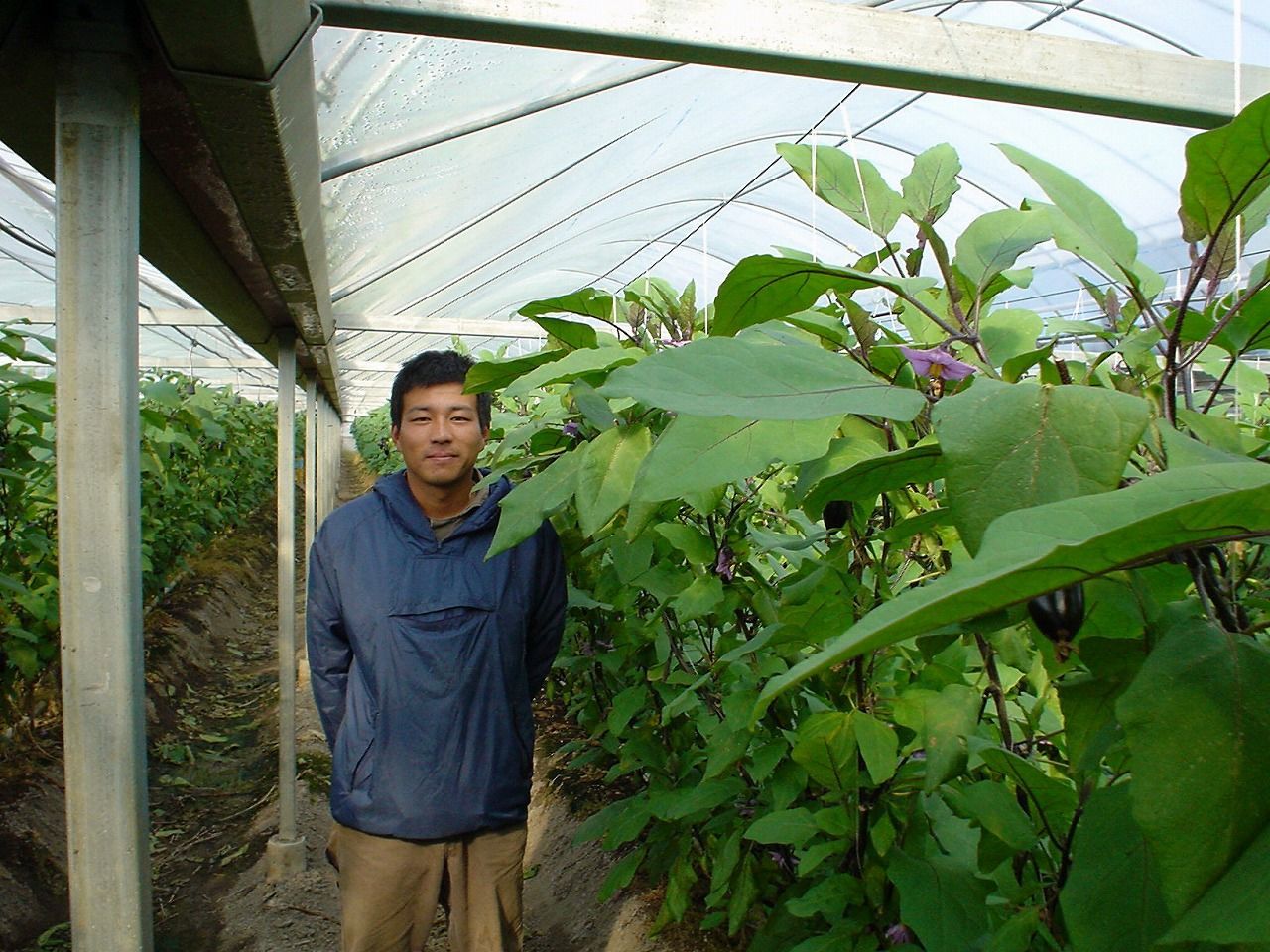 f:id:discyurion:20190819215715j:plain f:id:discyurion:20190819215715j:plain