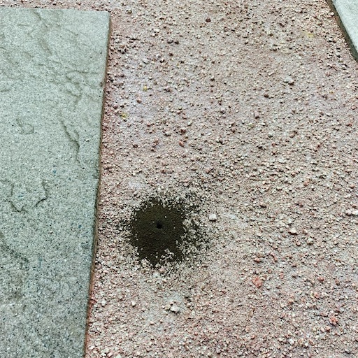 f:id:disk1mauloa:20190808191904j:image f:id:disk1mauloa:20190808191904j:image
