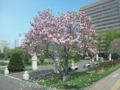 f:id:diskmcd:20110520091032j:image:medium