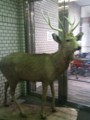 front of the supermarket. stuffed deer.