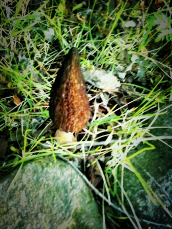 f:id:disnano:20110512035902j:image:h200 f:id:disnano:20110512035902j:image:h200