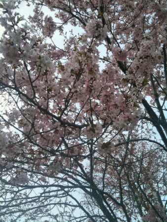 f:id:disnano:20110620034101j:image:h200 f:id:disnano:20110620034101j:image:h200