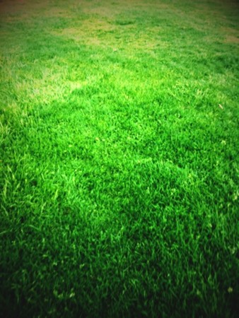 f:id:disnano:20110620034103j:image:h200 f:id:disnano:20110620034103j:image:h200