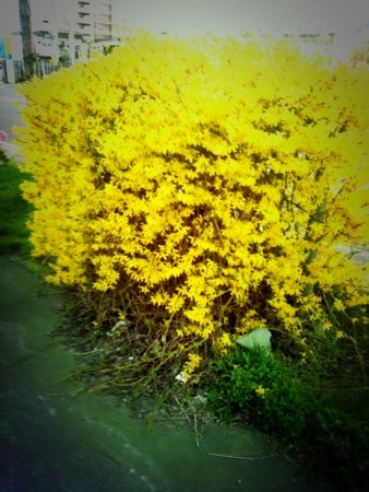 f:id:disnano:20110620034106j:image:h200 f:id:disnano:20110620034106j:image:h200