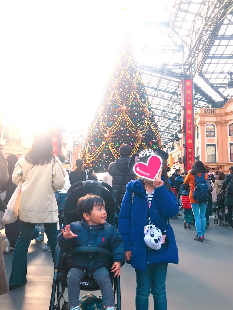 f:id:disneykosodate:20191123003235j:image f:id:disneykosodate:20191123003235j:image