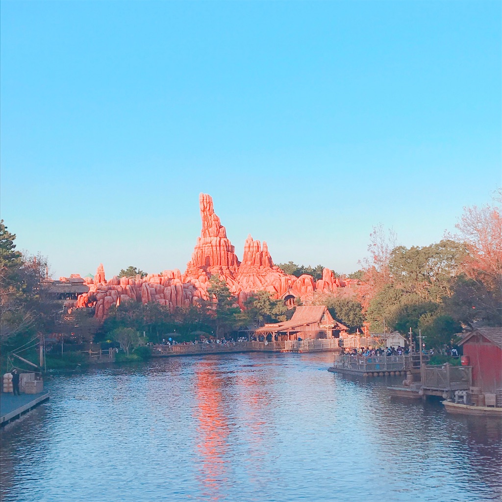 f:id:disneykosodate:20191123003947j:image f:id:disneykosodate:20191123003947j:image