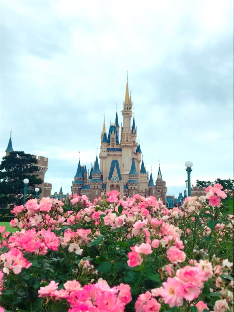f:id:disneykosodate:20200705155400j:image