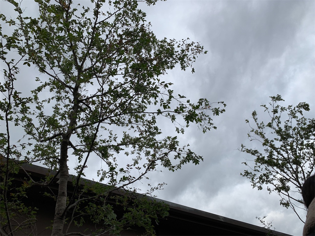 f:id:disneyresort1118mickeymouse:20181210073059j:image