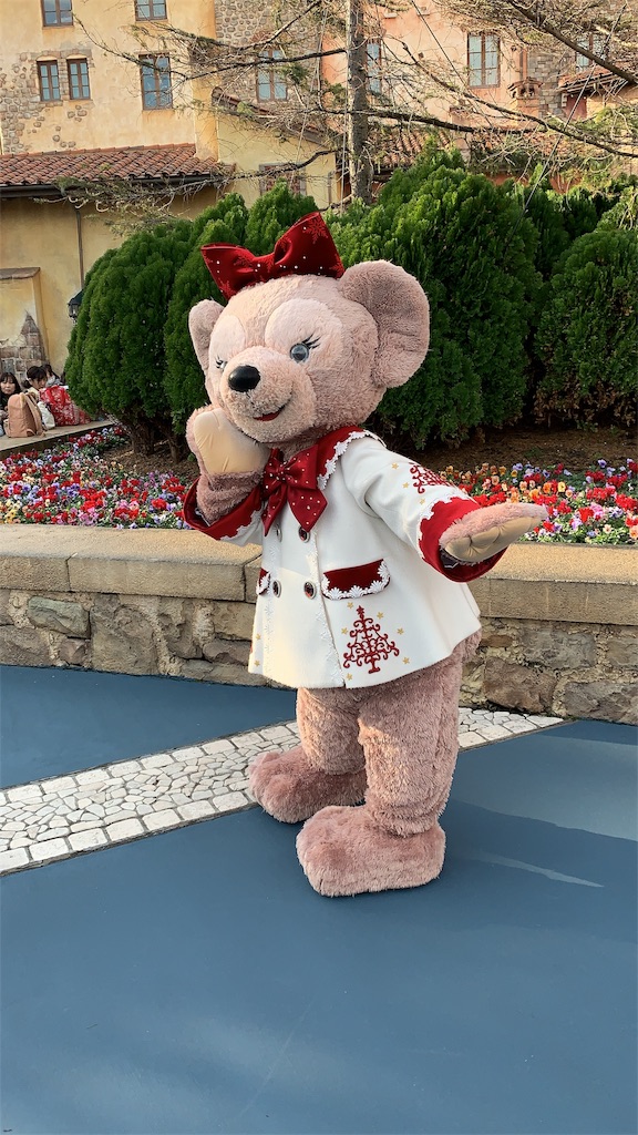 f:id:disneyresort1118mickeymouse:20181221181854j:image