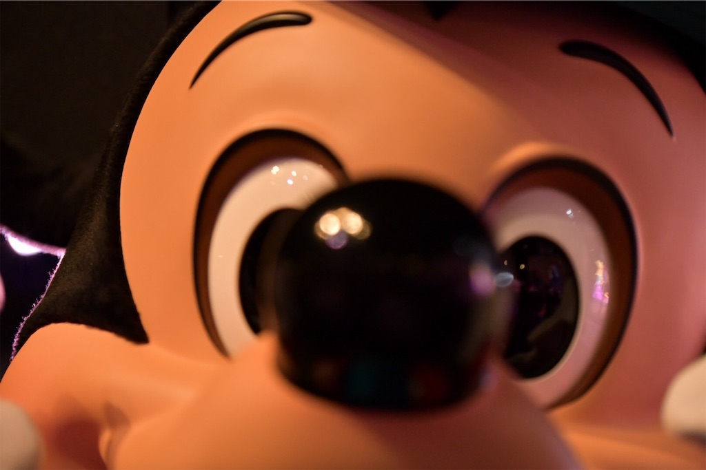 f:id:disneyresort1118mickeymouse:20190109215910j:image f:id:disneyresort1118mickeymouse:20190109215910j:image