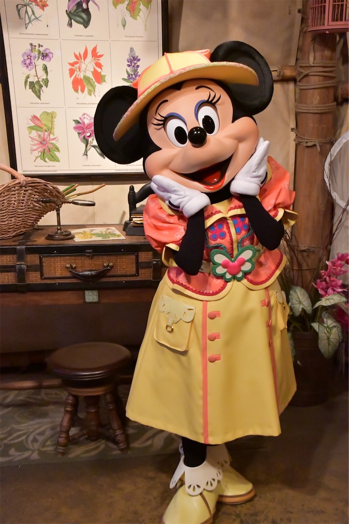 f:id:disneyresort1118mickeymouse:20190311202034j:plain f:id:disneyresort1118mickeymouse:20190311202034j:plain