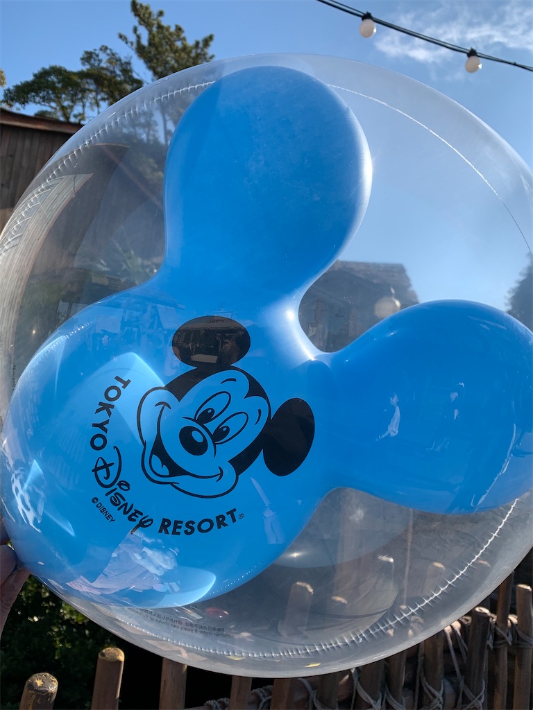 f:id:disneyresort1118mickeymouse:20201228183326j:image f:id:disneyresort1118mickeymouse:20201228183326j:image