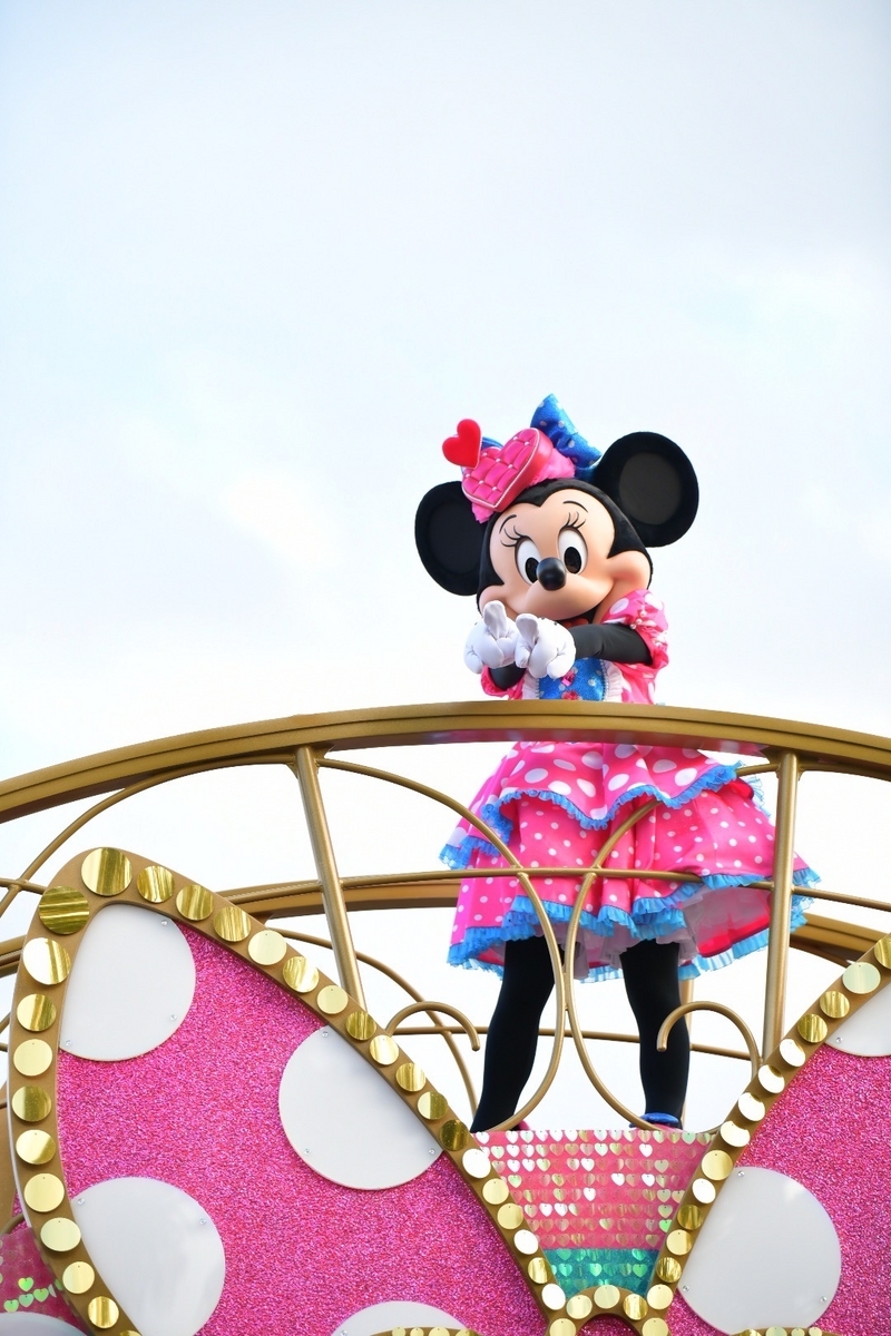 Disney - もろみか　サニーファン Amazon.co.jp: マテル ディズニープリンセス（Disney Princess