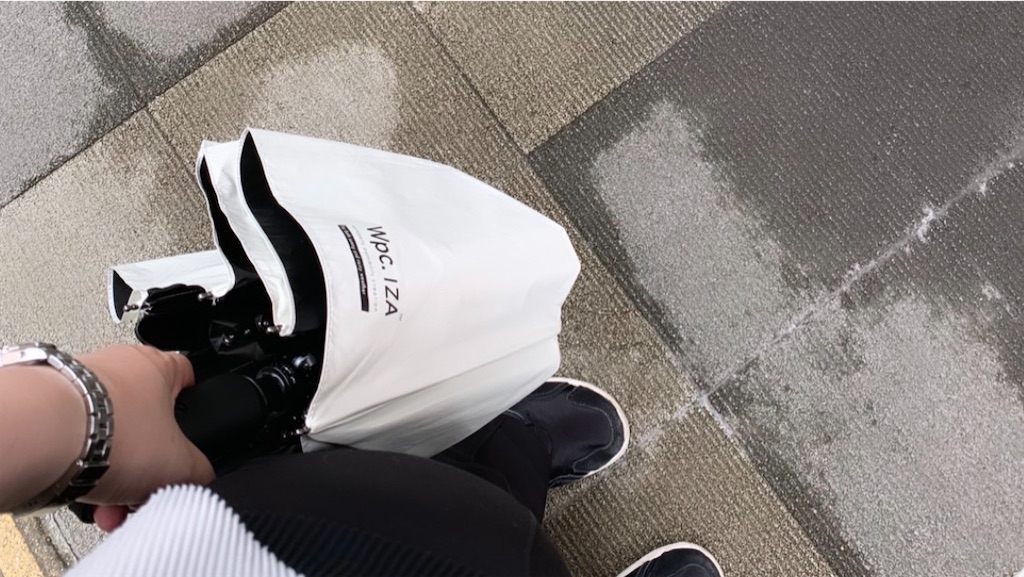 f:id:dissapear_cat:20230703135239j:image