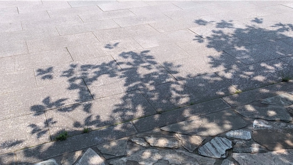 f:id:dissapear_cat:20230703135838j:image