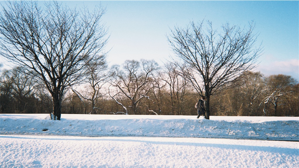 f:id:dissapear_cat:20260201205510j:image f:id:dissapear_cat:20260201205510j:image