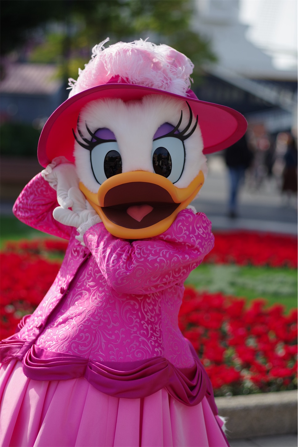 f:id:distagon-pentaxkplimited:20211205084232j:image