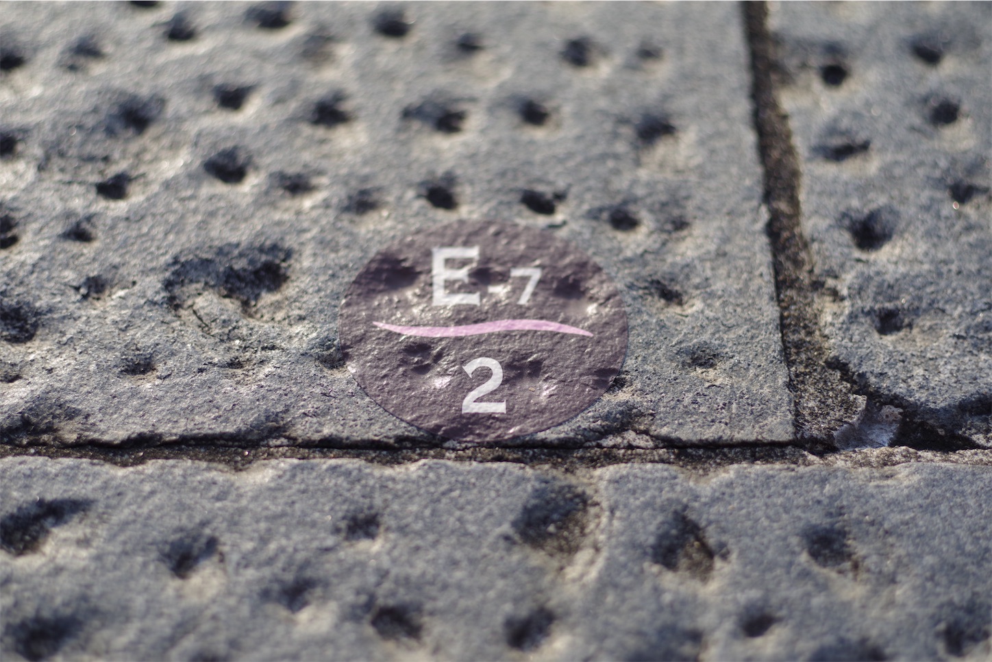 f:id:distagon-pentaxkplimited:20211205091450j:image
