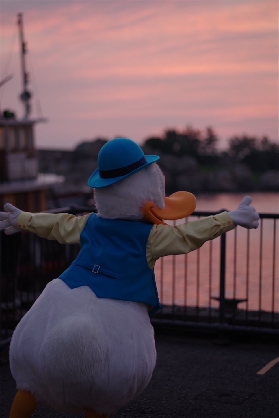 f:id:distagon-pentaxkplimited:20211205092357j:image
