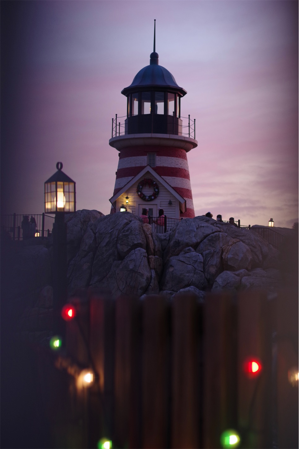f:id:distagon-pentaxkplimited:20211205092359j:image