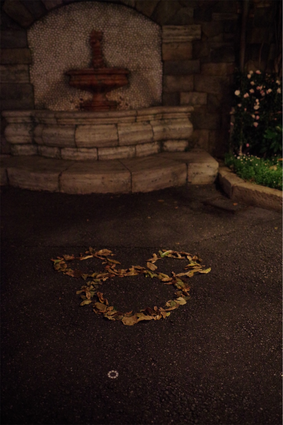 f:id:distagon-pentaxkplimited:20211205092424j:image