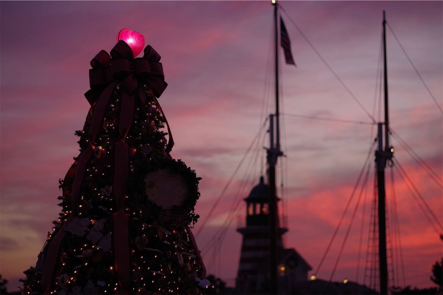 f:id:distagon-pentaxkplimited:20211205092433j:image