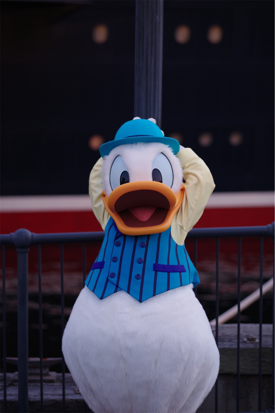 f:id:distagon-pentaxkplimited:20211205092436j:image