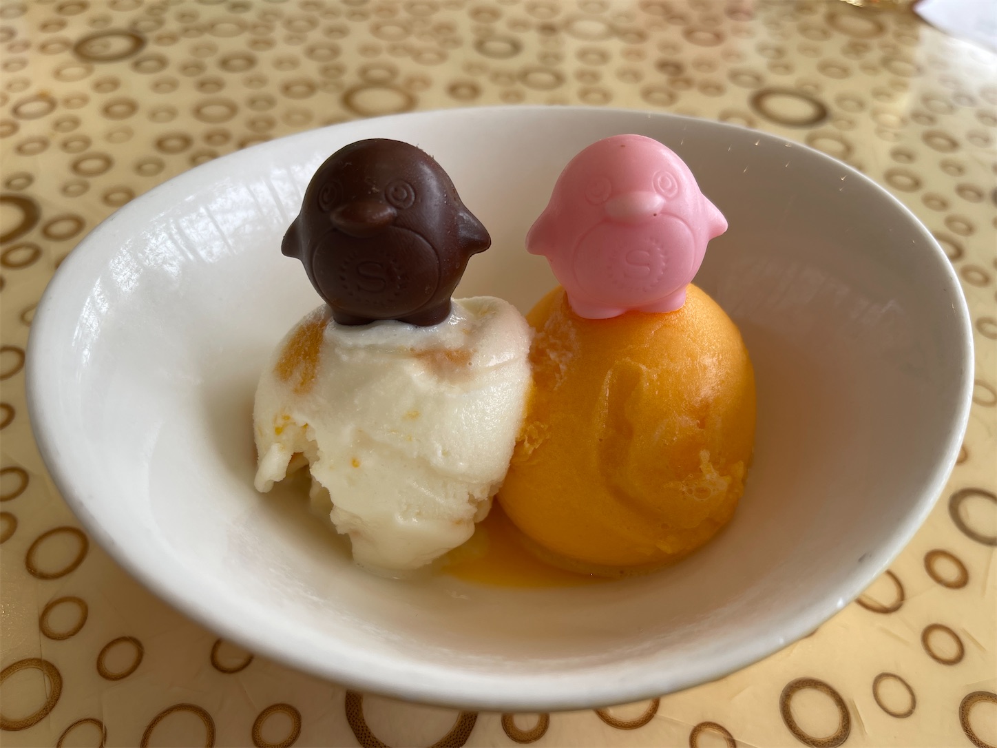 f:id:distagon-pentaxkplimited:20220620104252j:image