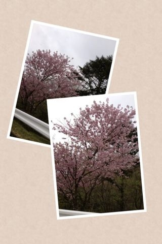 f:id:district57:20120430094308j:image