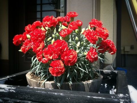 f:id:district57:20120514211134j:image