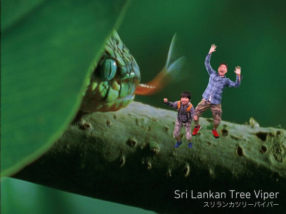 f:id:district57:20150522194930j:image