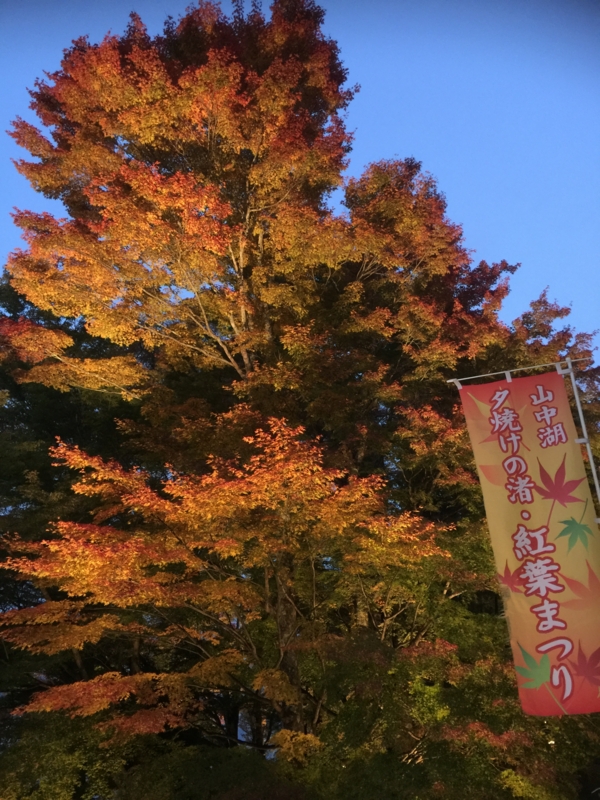 f:id:district57:20161106170113j:image