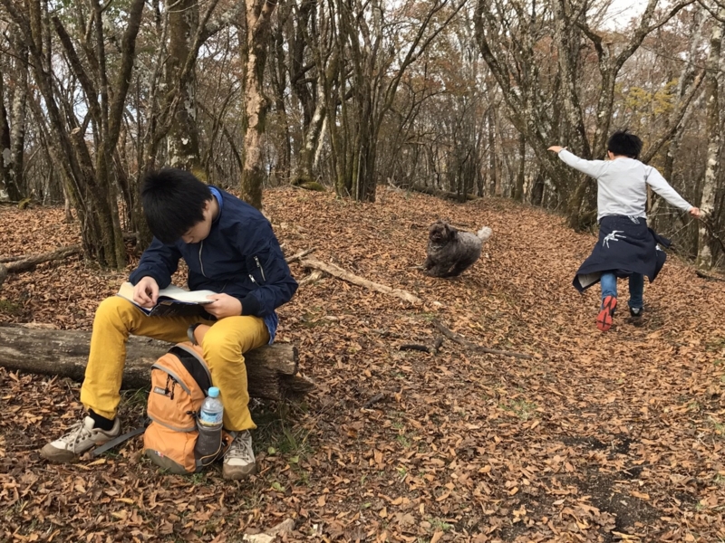 f:id:district57:20161115185534j:image