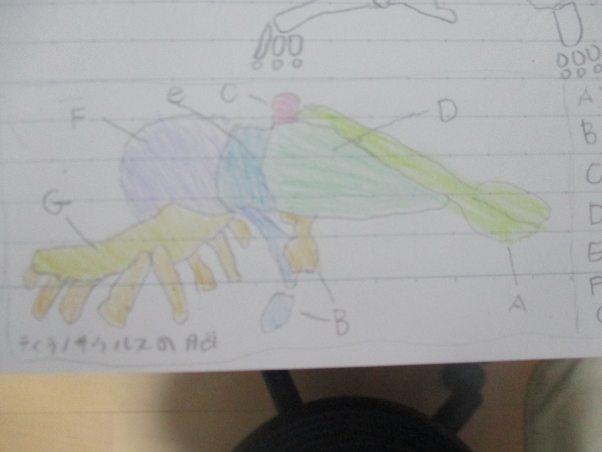f:id:ditinoue:20210508105612j:plain