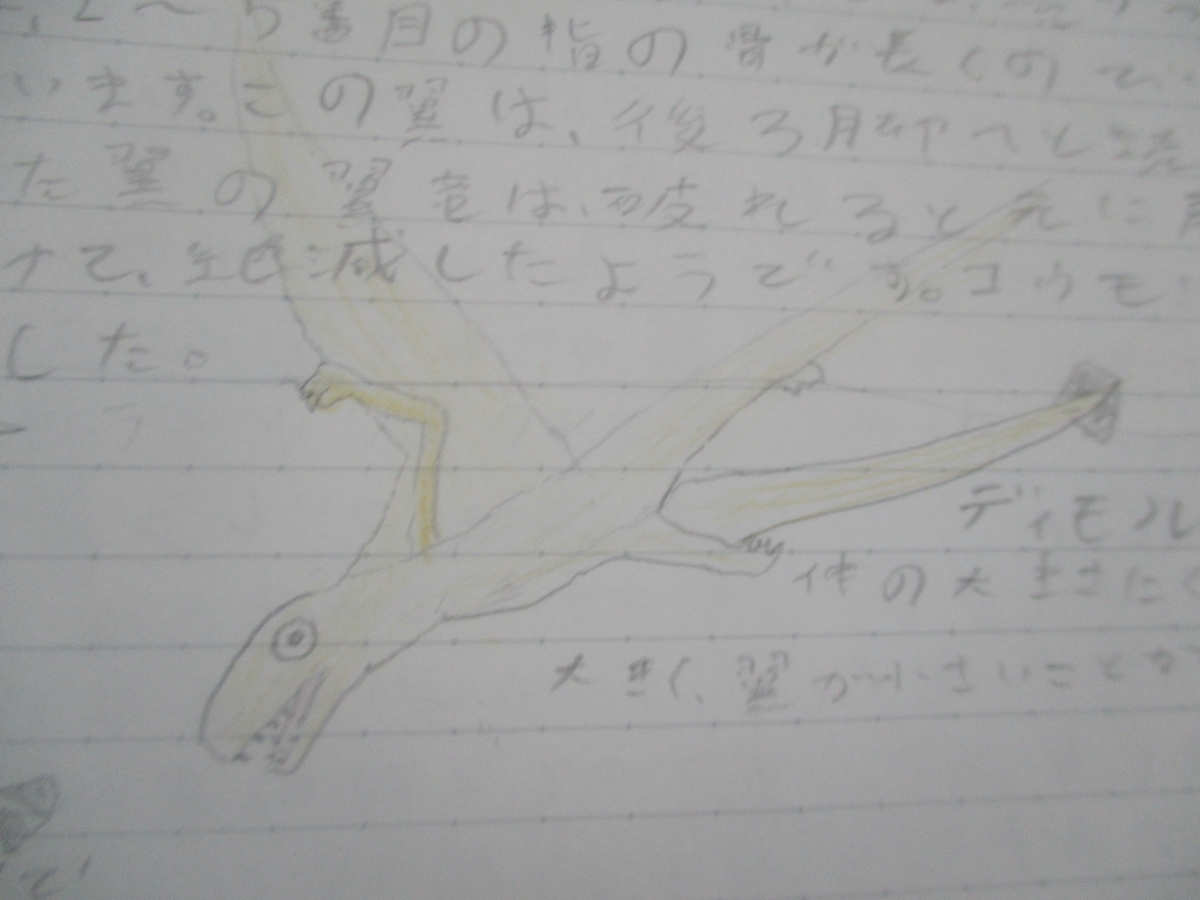 f:id:ditinoue:20210619165605j:plain