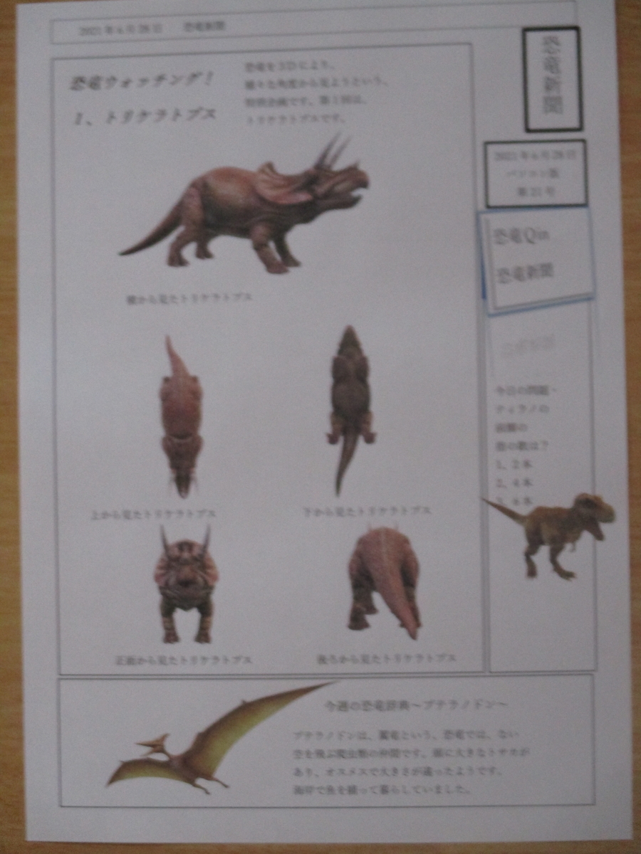 f:id:ditinoue:20210628193406j:plain