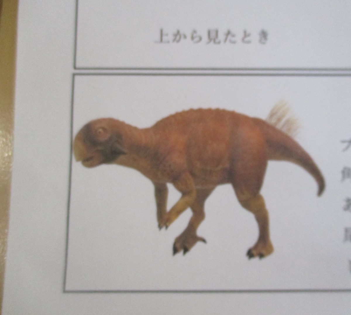 f:id:ditinoue:20210712191957j:plain