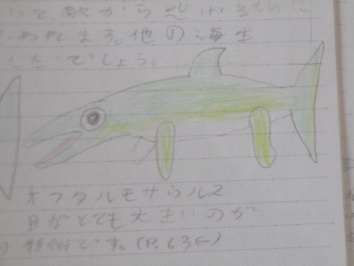 f:id:ditinoue:20210803185329j:plain