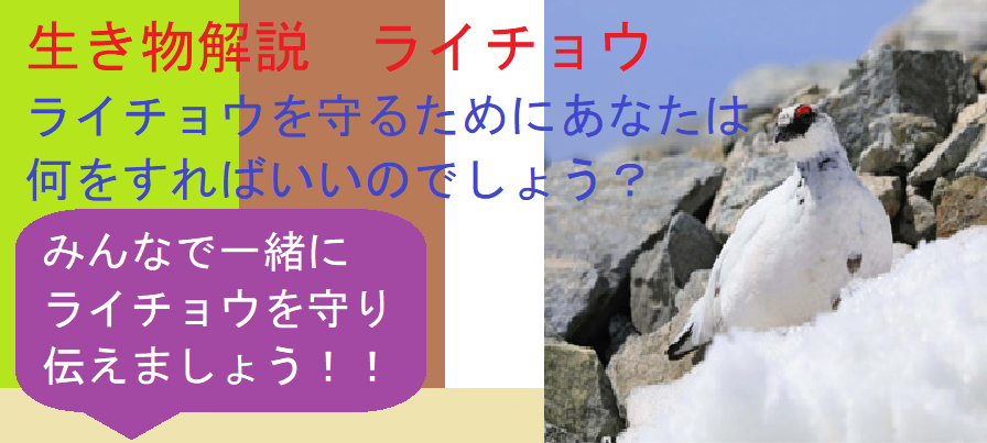 f:id:ditinoue:20211205164546p:plain