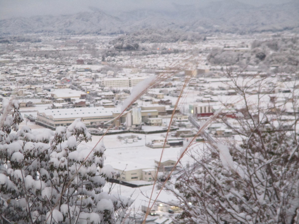 f:id:ditinoue:20220101110258j:plain