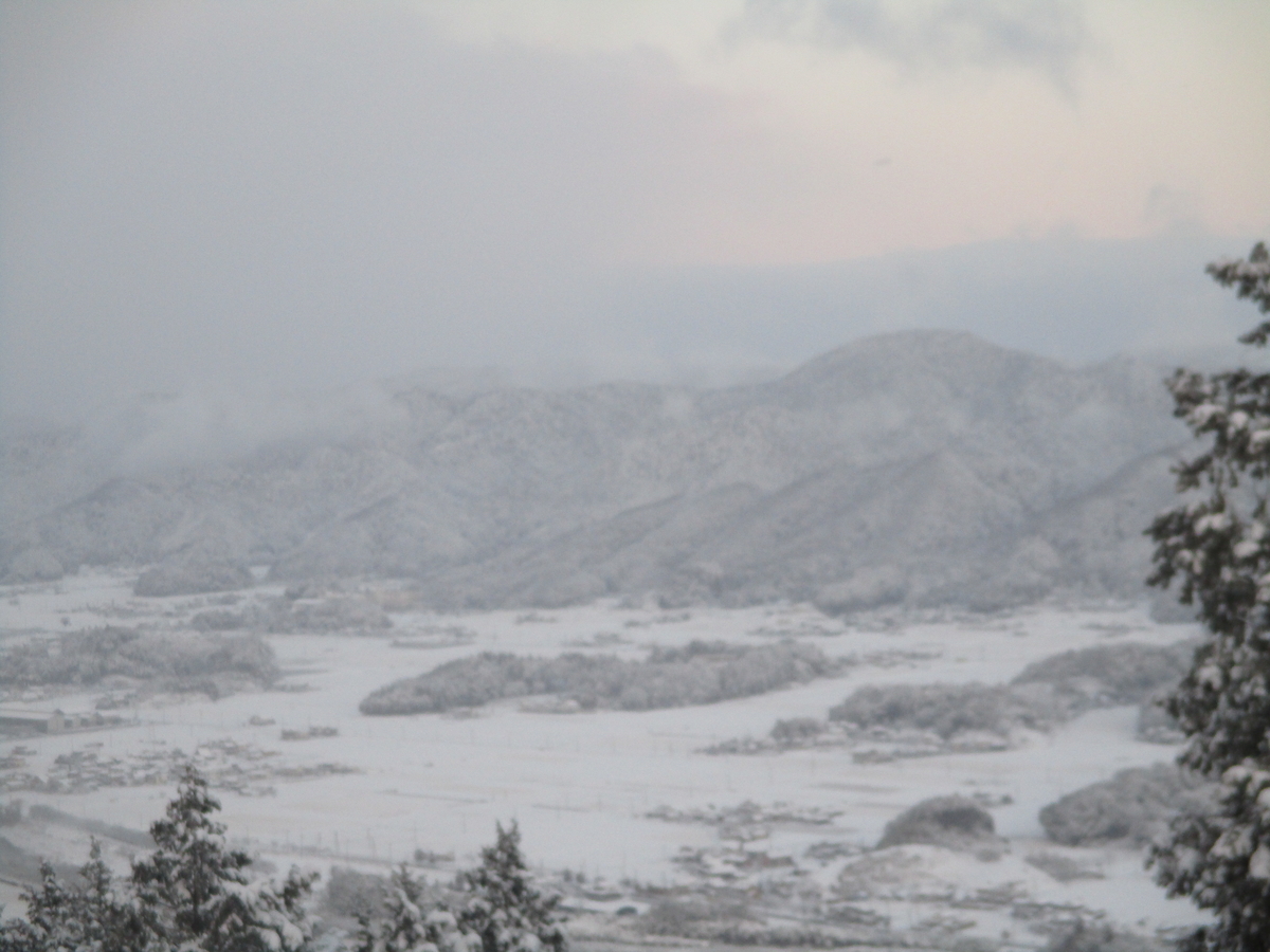 f:id:ditinoue:20220101110343j:plain