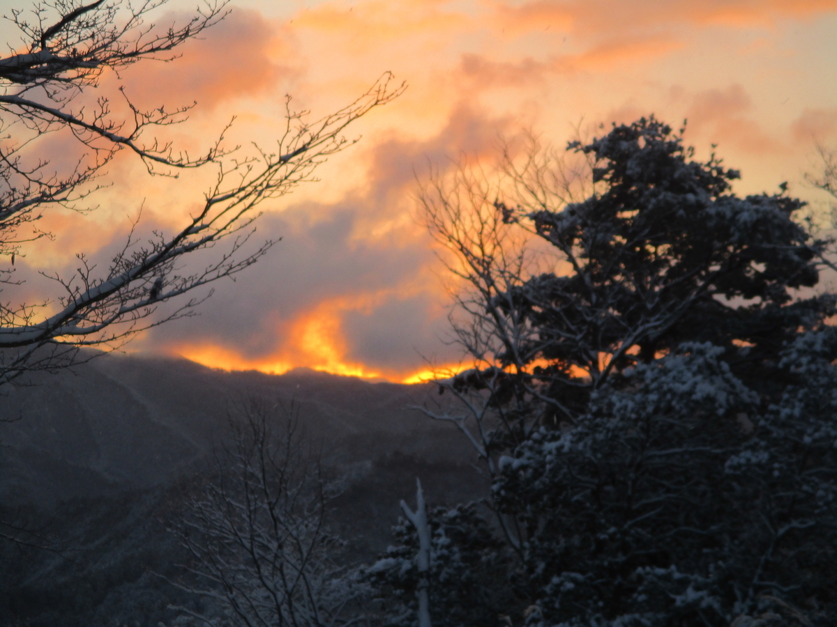 f:id:ditinoue:20220101110445j:plain