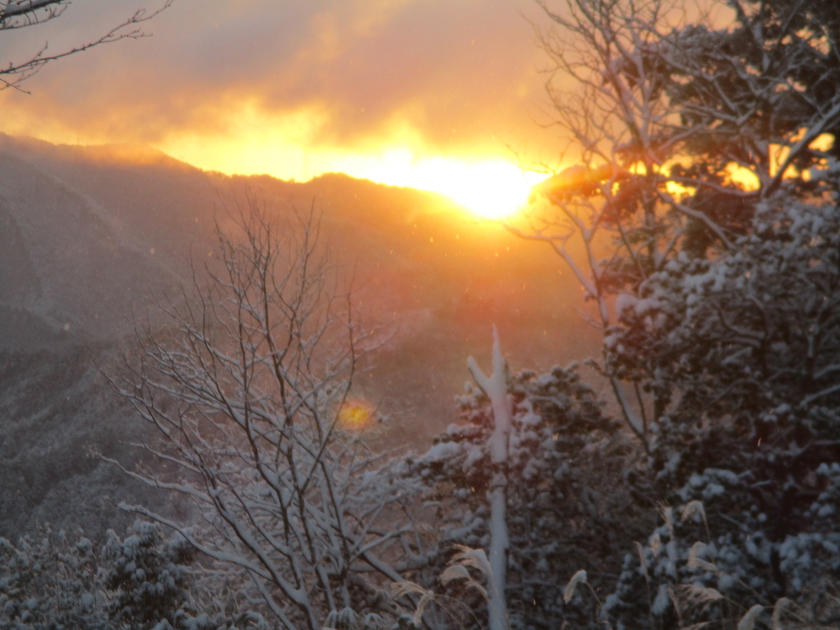 f:id:ditinoue:20220101111059j:plain